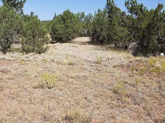2nd image of 1333 W Moonglow Dr