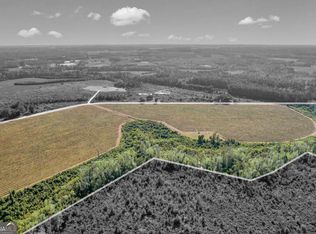 0 Sellers Rd NW TRACT 6, Baxley, GA 31513