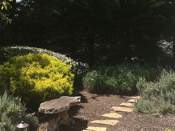 Front garden walkway