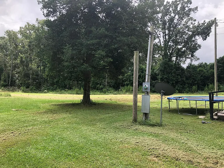Back Yard view