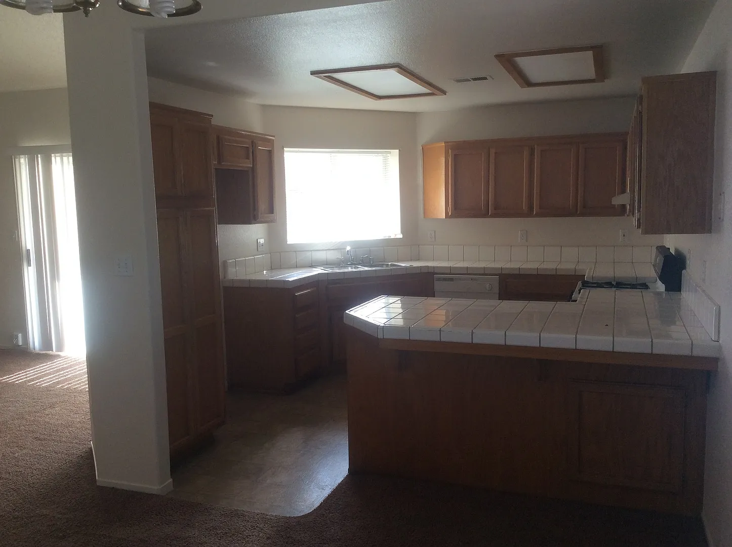 7314 Sandrinilla St. — Photo 4