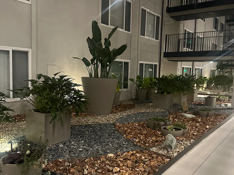 230 S Catalina Ave #301 — Photo 20