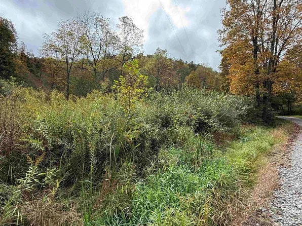 Joes Run Rd, Mannington, WV 26582