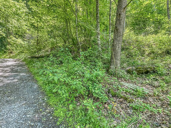 5th image of 15631 Large Hollow Rd