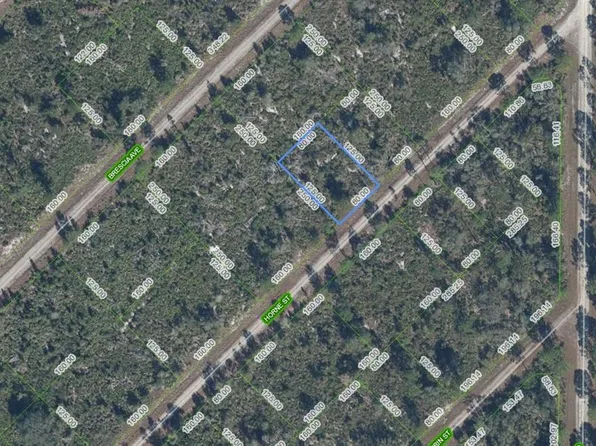 3517 Horne St, Lake Placid, FL 33852