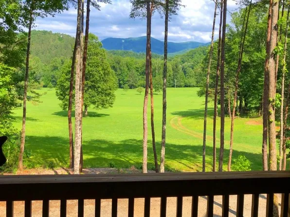 75 Cedar Ridge Ln #3, Cherry Log, GA 30522