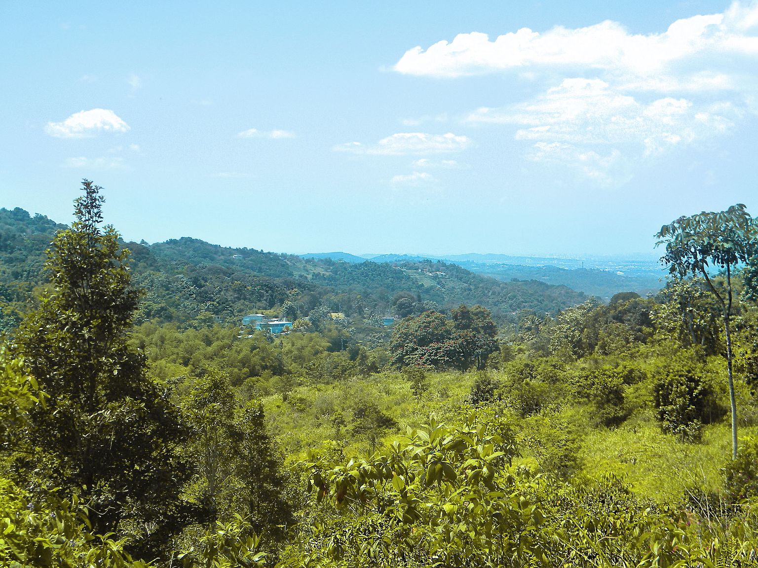 KM 9 Carretera 956, Rio Grande, PR 00745 | Zillow