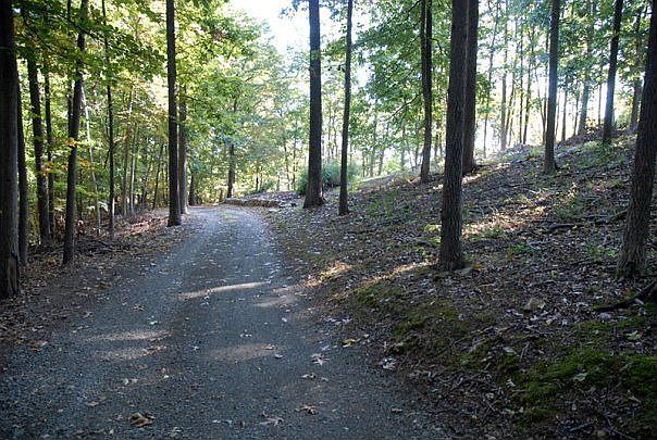 Small part of the driveway.