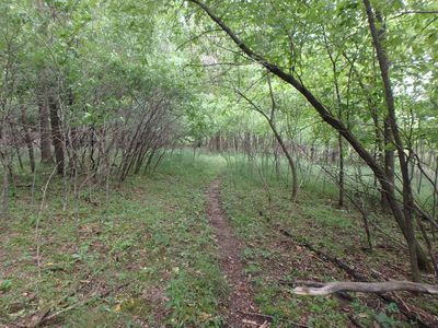 X 231st St, Cushing, WI, 54006