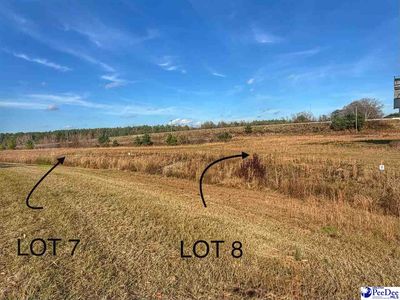 LOT 7 Mallory Beach Rd, Latta, SC, 29565