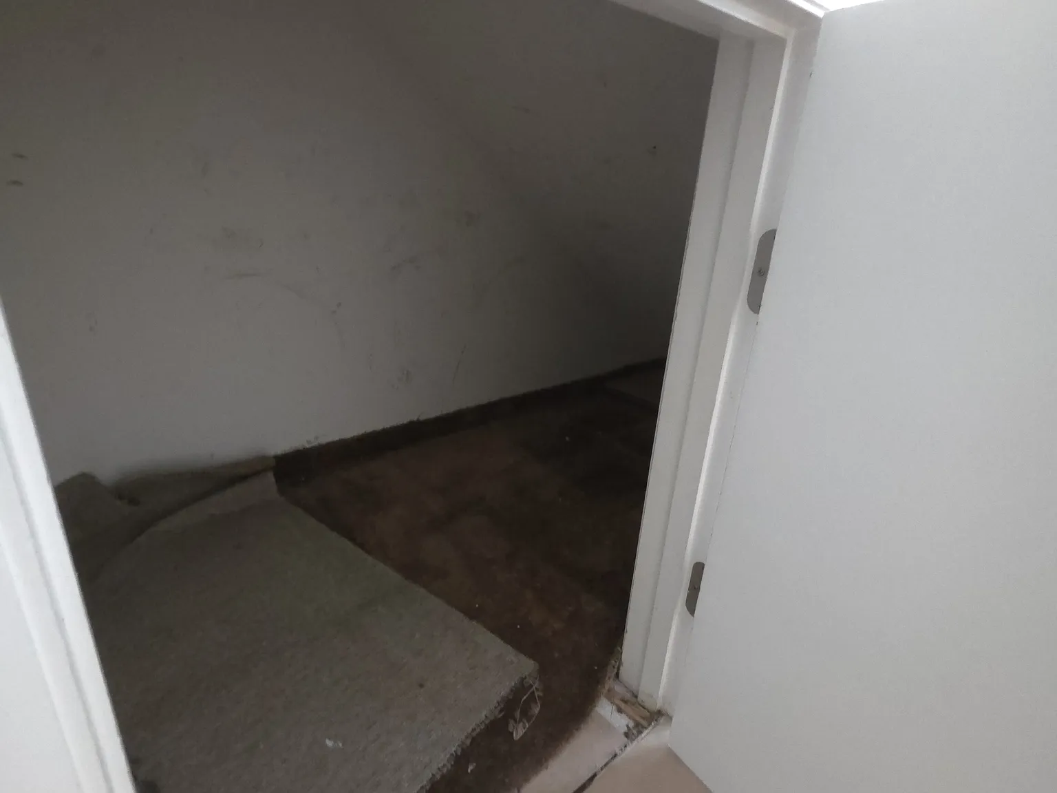 2 bed, 1.5 bath, 900 sqft, $1,350 — Photo 4