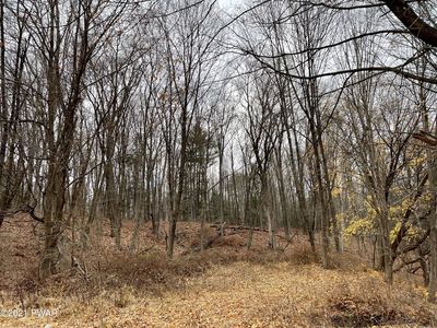 Labarr Ln, Matamoras, PA, 18336