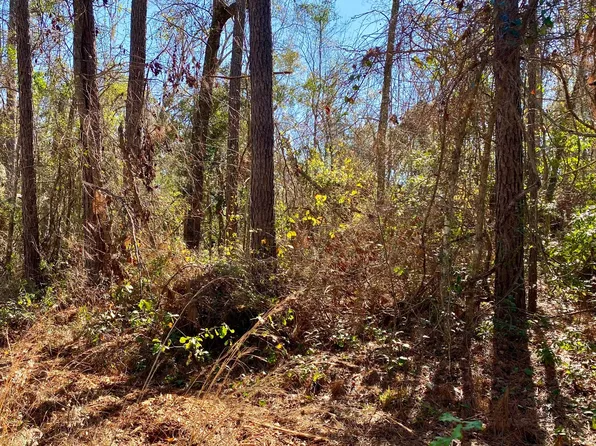 LOT 6 NW Alapaha Woods Way #6, Jasper, FL 32052