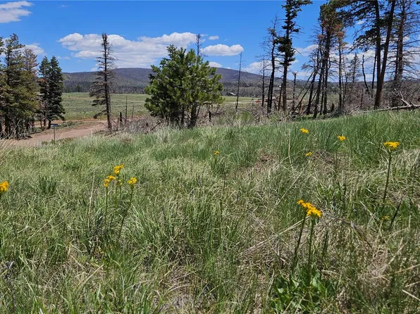 448 Wagon Mesa Loop, Fort Garland, CO 81133