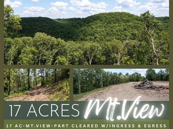 Tbd State Hwy Y, Galena, MO 65656