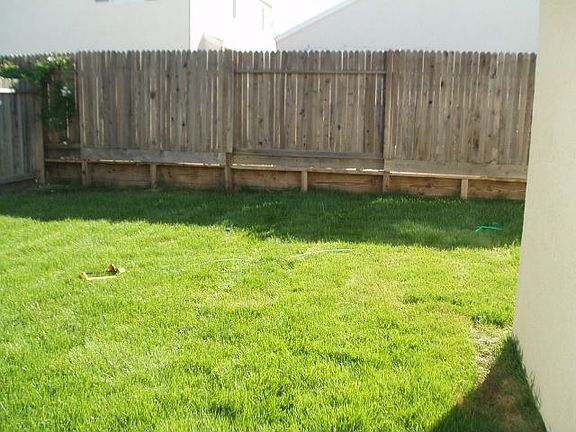 Half of the back yard