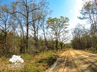 Netherland Rd, Midville, GA 30441