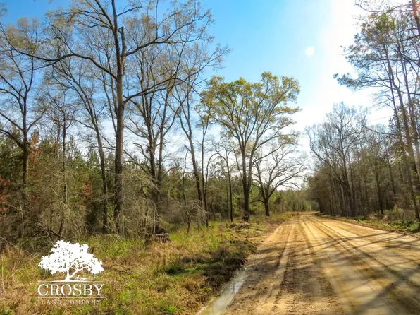 Netherland Rd, Midville, GA 30441