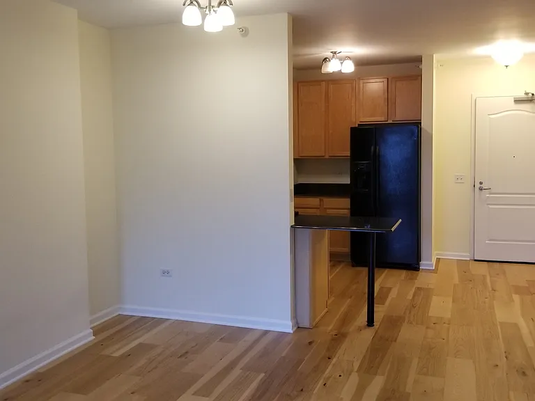 125 S Jefferson St #1508 — Photo 8