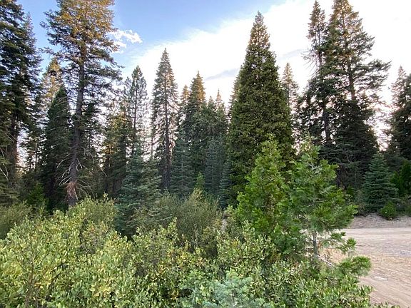 5th image of 3-F-9 Silverthorn Ct
