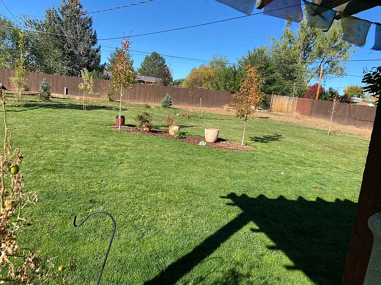 Very large backyard