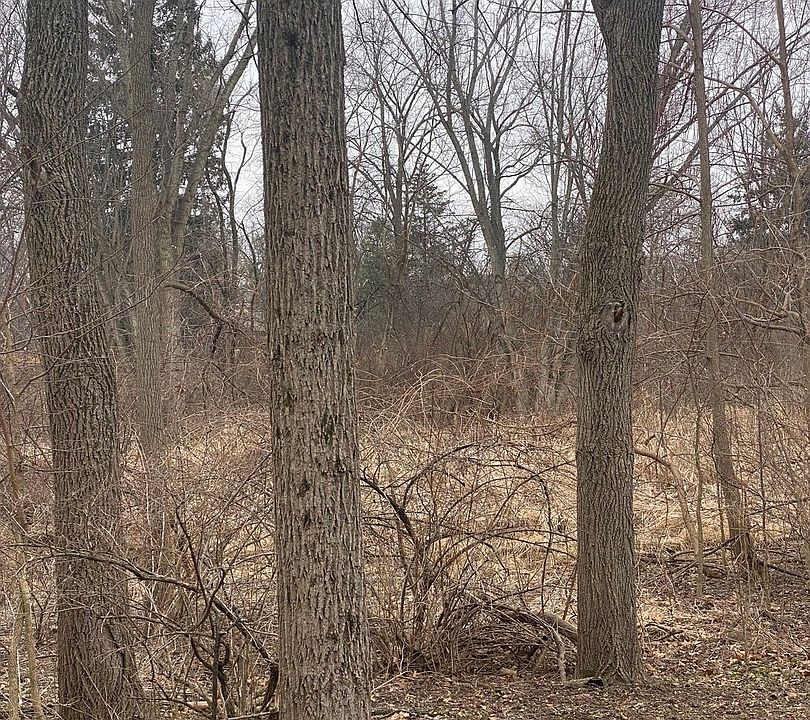 2nd image of 21177 N Valley Rd