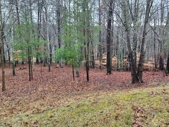 0 Wilderness Ln Lot 5, Spencer, TN 38585