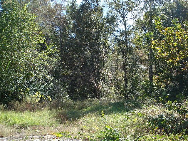1st image of 17250 Highway 43