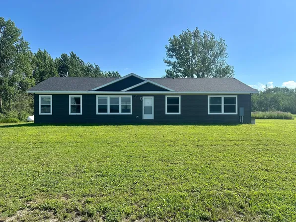 20337 County Road 3, Badger, MN 56714