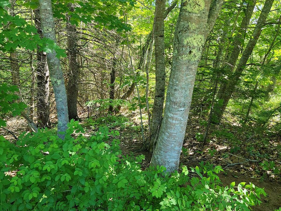 8 Highfield Ln 25, Belfast, ME 04915 MLS 1533953 Zillow