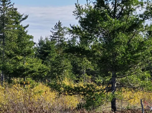 Co Road Aaa Rd, Big Bay, MI 49808