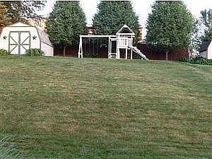 Large Backyard