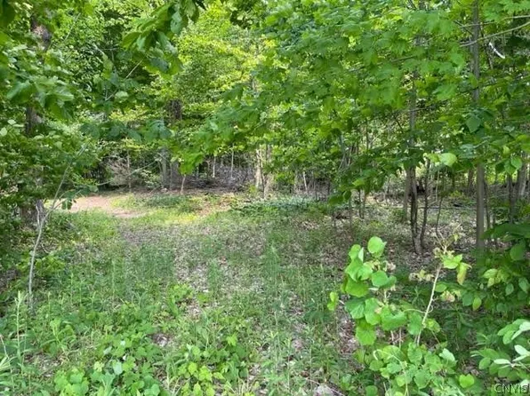 Harp Rd Lot 15, Canastota, NY 13032