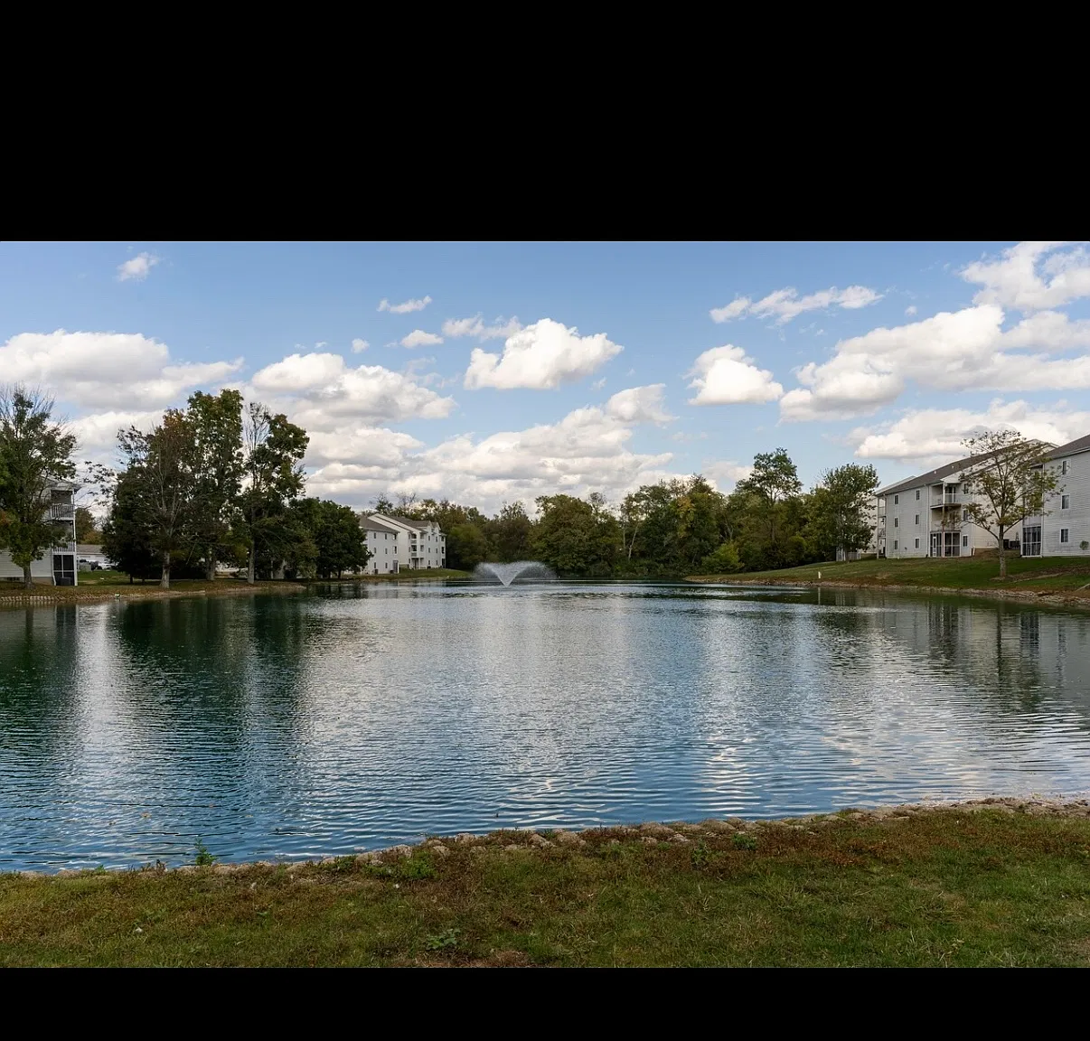 2 bed, 1010 sqft, $1,600 — Photo 3