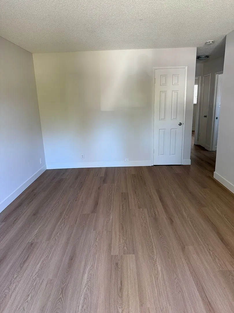 2238 Tomasina Ct — Photo 2