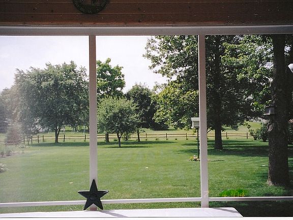 Back Yard View