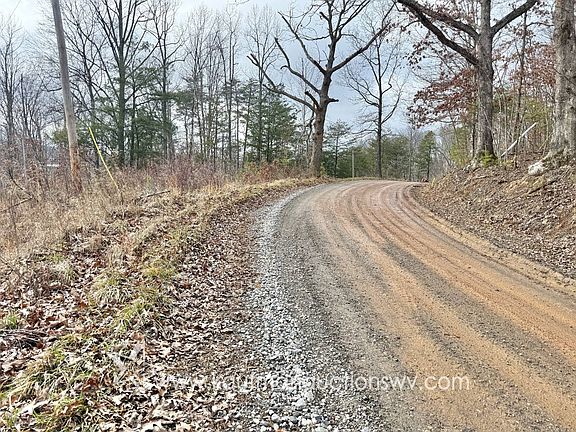 2nd image of 0 Birch Run Rd