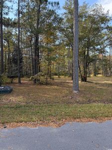 867 Denali Dr., Conway, SC, 29526