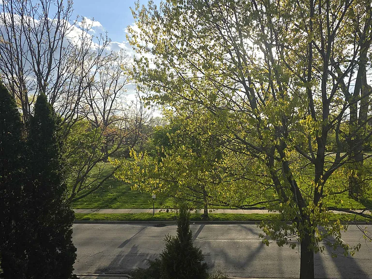 View from window looking across the street to park