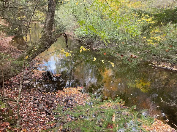 40 Acres Bluff Rd, Ogema, WI 54459