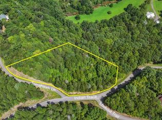 41 Tomahawk Ln, Mineral Bluff, GA 30559