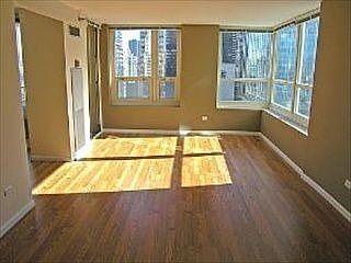 4th image of 345 N La Salle Dr APT 2005
