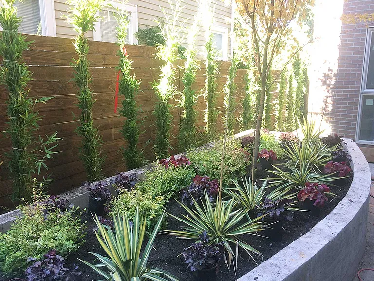 Lavender Apartments — Photo 10