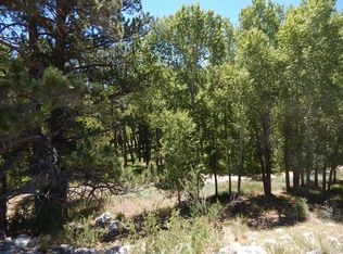 17483 Reserve Dr, Buena Vista, CO 81211
