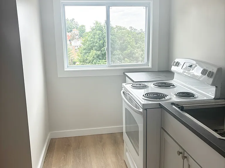 1229 Round Top St #3 — Photo 9