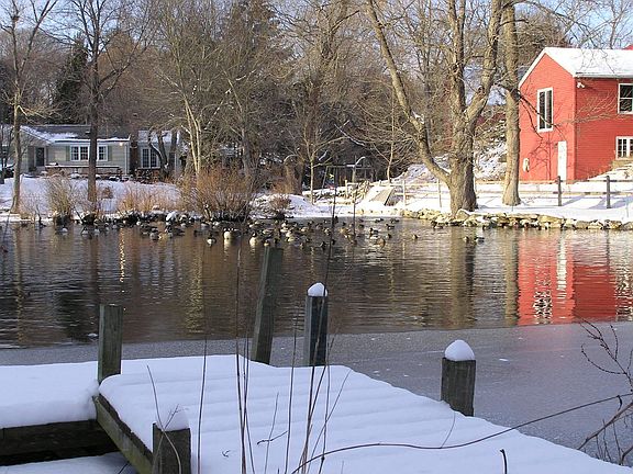Pond in winter