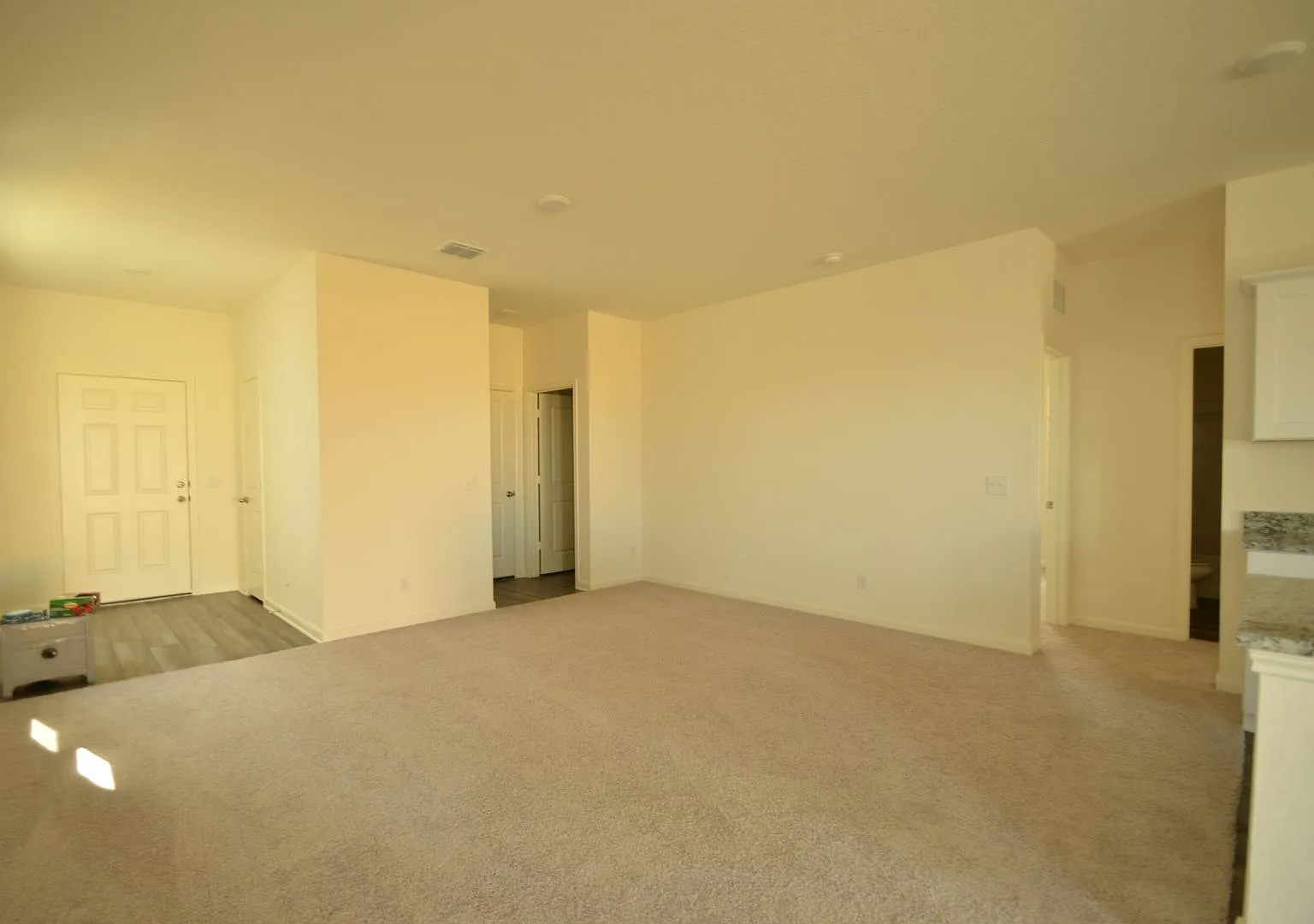 New Build Home For Rent — Photo 2
