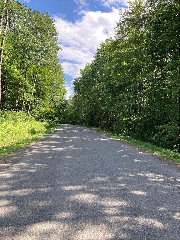 0 Penelope Rd, Willet, NY 13863 MLS R1489221 Zillow