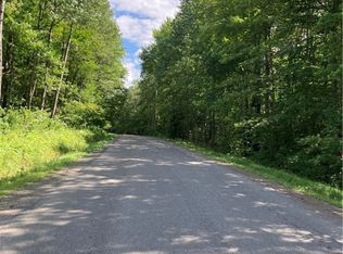 0 Penelope Rd, Willet, NY 13863