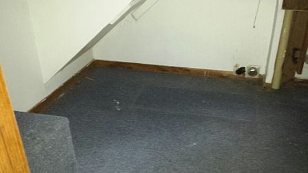 5th image of 605 Wildwood Dr